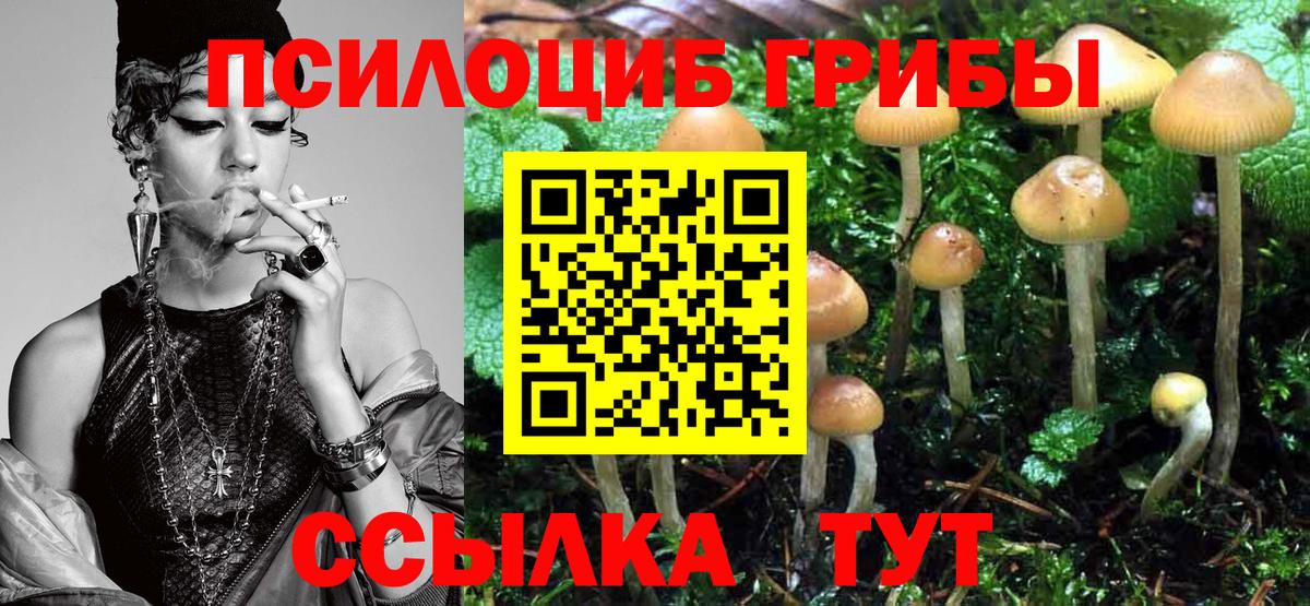 Саратов  Галлюциногенные грибы Psilocybe  Вход с VPN 