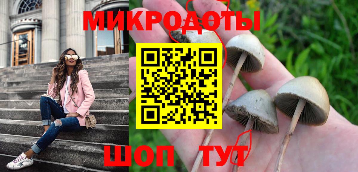 Псилоцибиновые грибы мухоморы Саратов