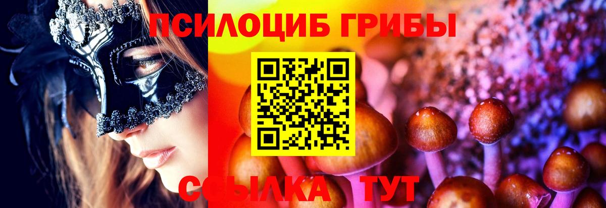Псилоцибиновые грибы прущие грибы  Саратов 